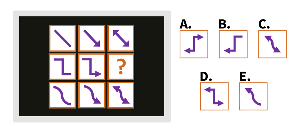Which option correctly completes the pattern in the grid?